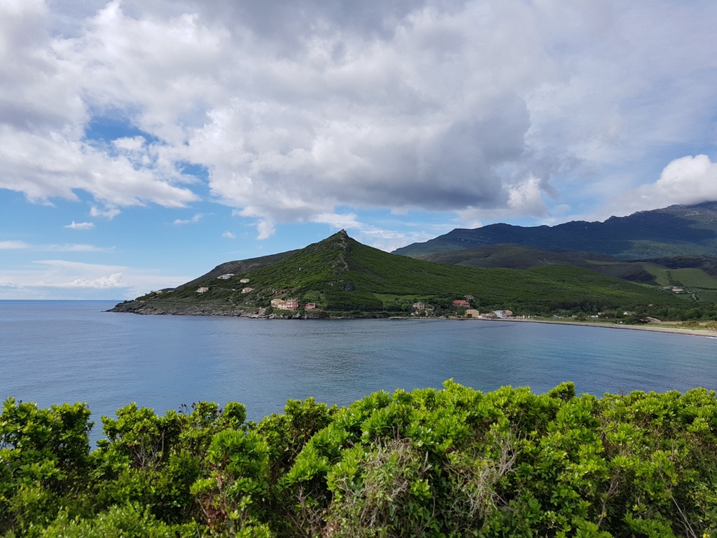 corse 008
