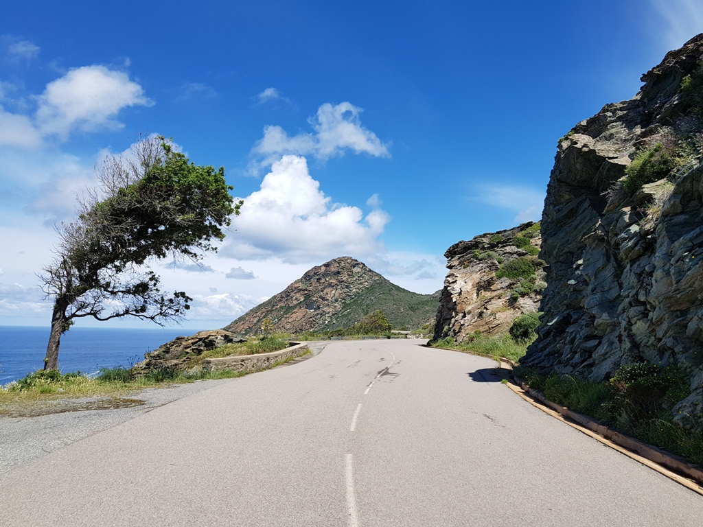 corse 007