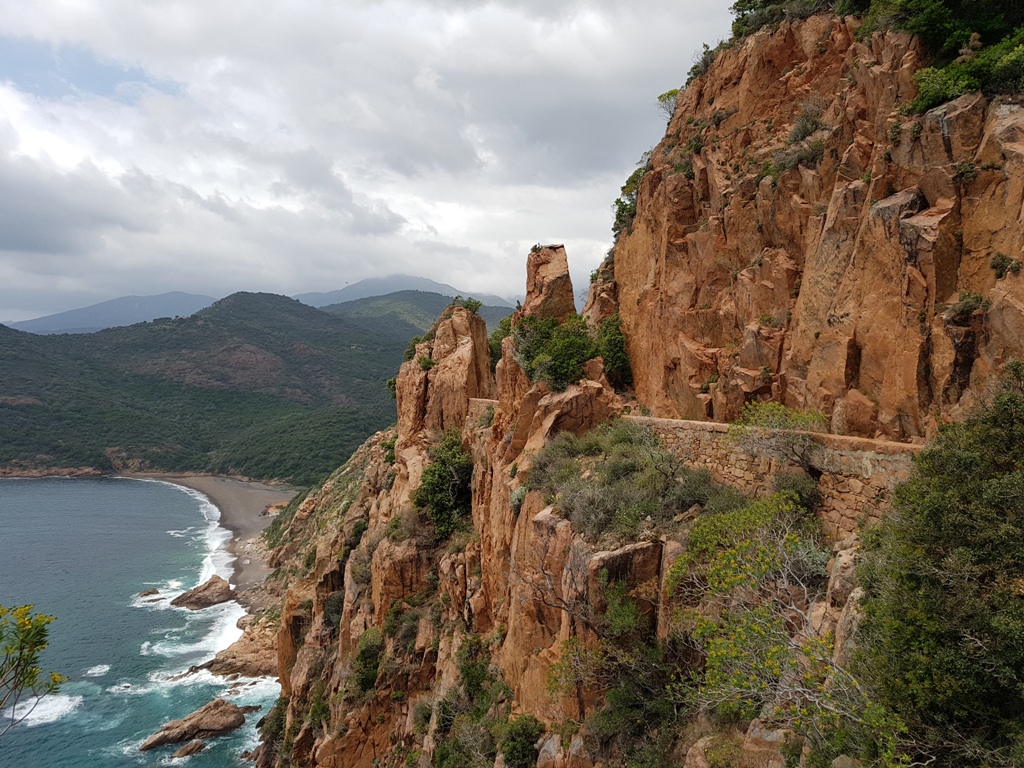 corse 022