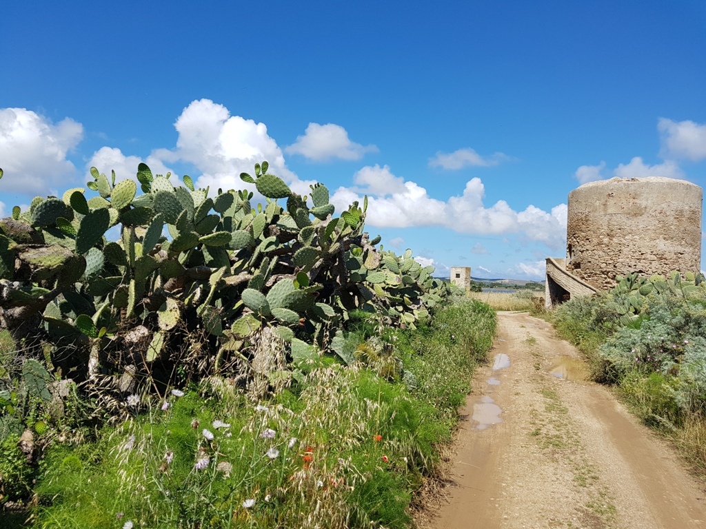 Torre di su Pottu