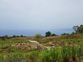 sicile 139